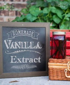 Vanilla Extract