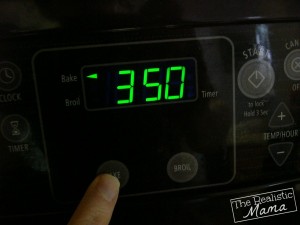 Oven Temperature