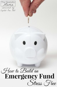Build an Emergency Fund