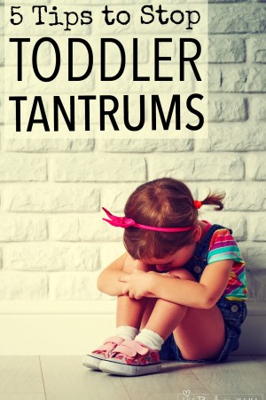 5 Tips to Stop Toddler Tantrums