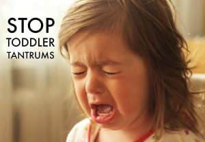 stop toddler tantrums