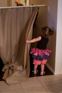 Building Fort 2