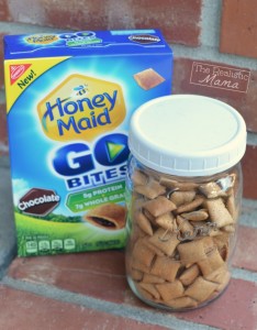 Honey Maid Go Bites