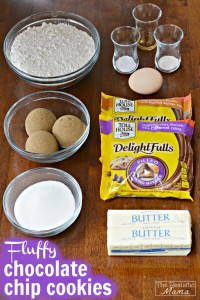 Fluffy Chocolate Chip Cookie Recipe
