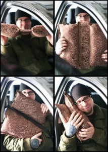 Car Pillow