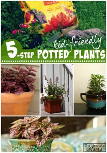 Kid Friendly Potted Plants - Step-by-Step Instructions