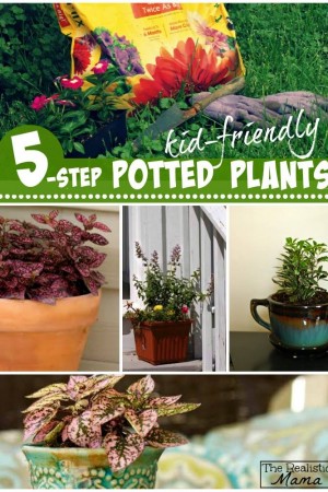 Kid Friendly Potted Plants - Step-by-Step Instructions