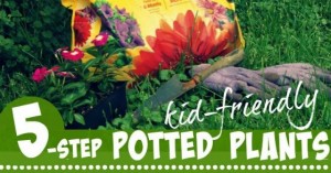 Potted Plants