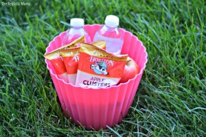 Snacks for the car
