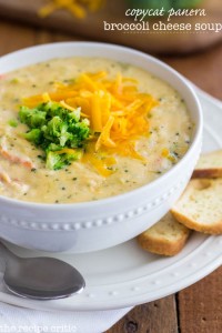 broccoli cheese soup