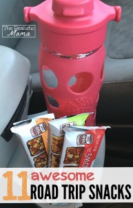 11 Awesome Road Trip Snacks and a Brilliant Kid Friendly Snack!