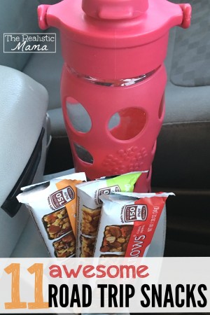 11 Awesome Road Trip Snacks and a Brilliant Kid Friendly Snack!