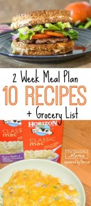 2 Week Meal Plan FREE -- 10 Recipes + Grocery List!