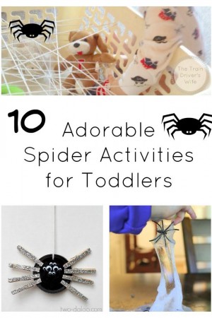 Spider Activities for Toddlers