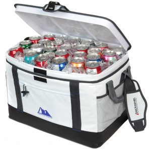 Cooler