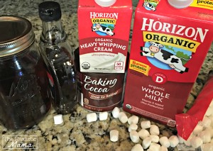 Hot Chocolate Ingredients