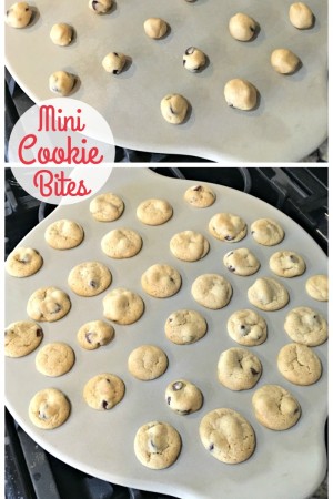 Mini Cookie Bites