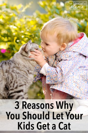 3 Reasons Why You Should Let Your Kids Get a Cat