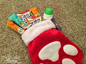 Cat Giveaway