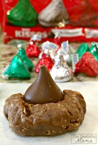 Chocolate Peanut Butter Oatmeal Cookie