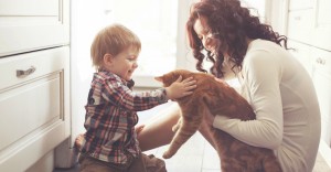 Get Your Kids a Cat