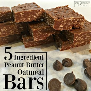 Peanut Butter Oatmeal Bars