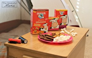 Camping Snacks