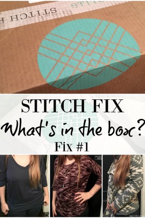 What's in a Stitch Fix Box Fix #1