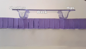 Buckling-Gel-w-Arrows