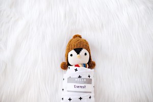 Everest from cuddle+kind