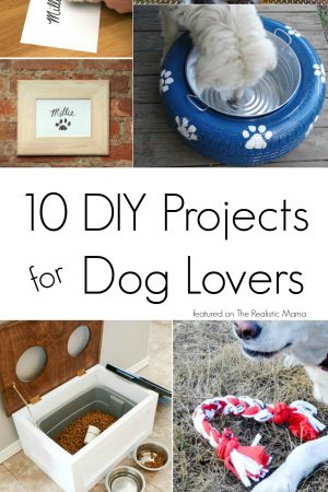 10 of the Best DIY Projects for Dog Lovers