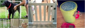 DIY Dog Projects