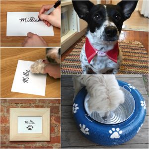 DIY Projects for Dog Lovers