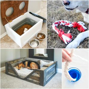 DIY Projects for Dogs