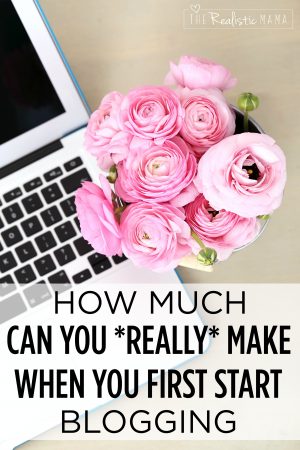 How much can you really make when you first start blogging.
