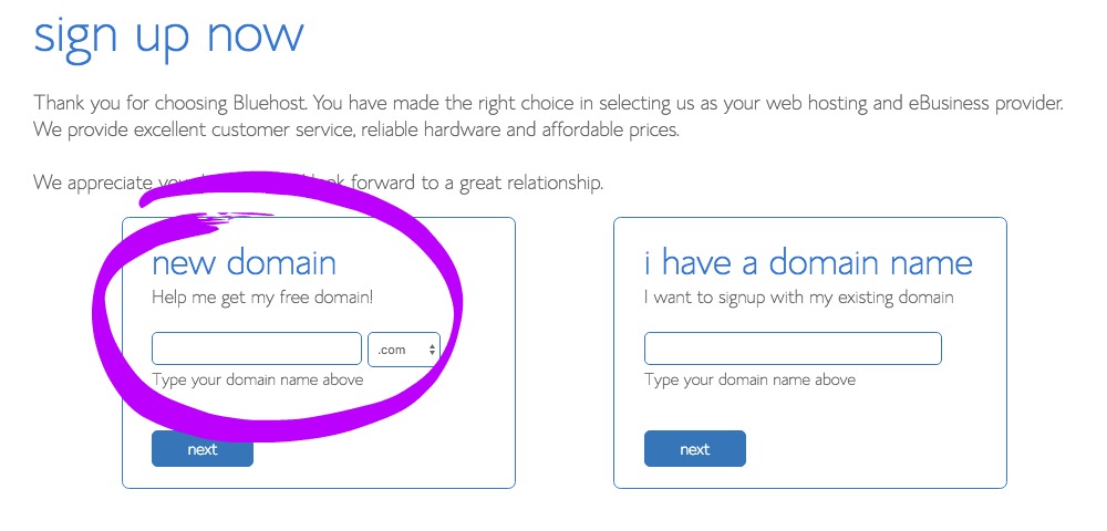 3. Type Your Domain