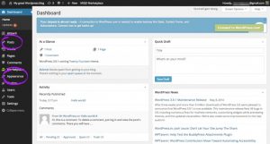 Wordpress Dashboard