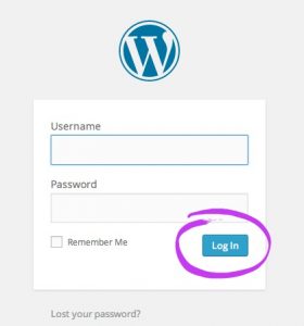 Wordpress Login
