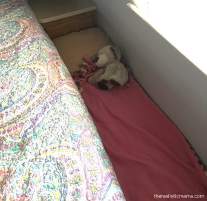 RV Inside Picture