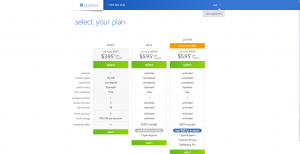 Select Your Blog Hosting Plan