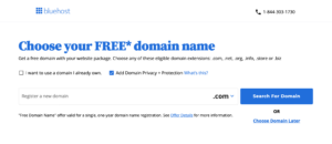 Select a Blog Domain Name